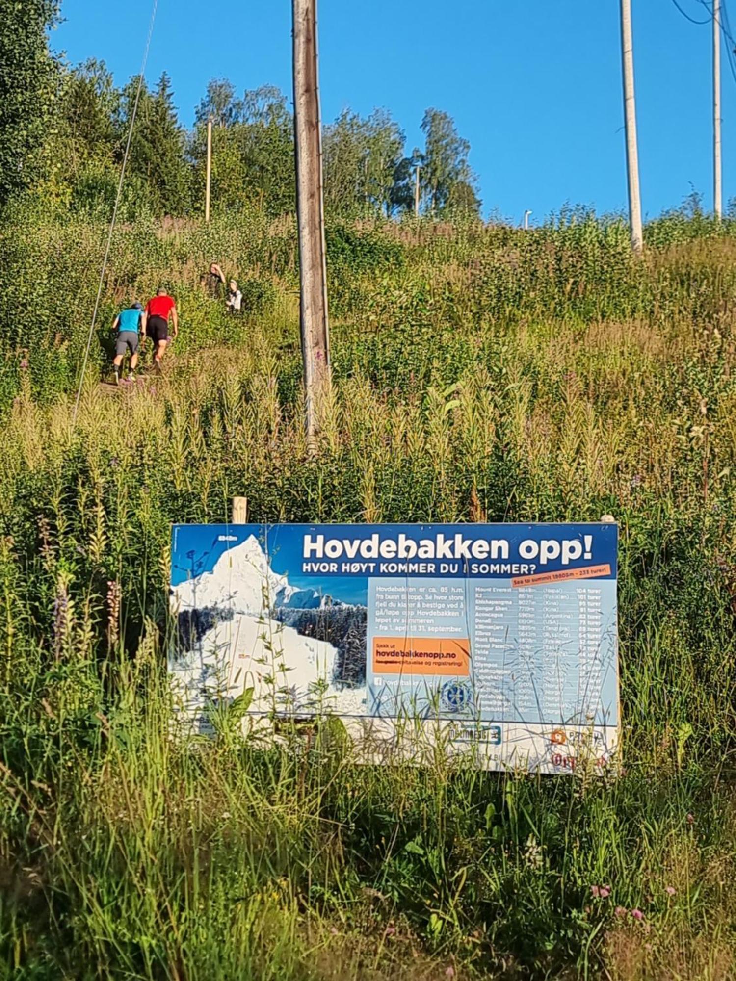 Gjovik Hovdetun Hostel Buitenkant foto